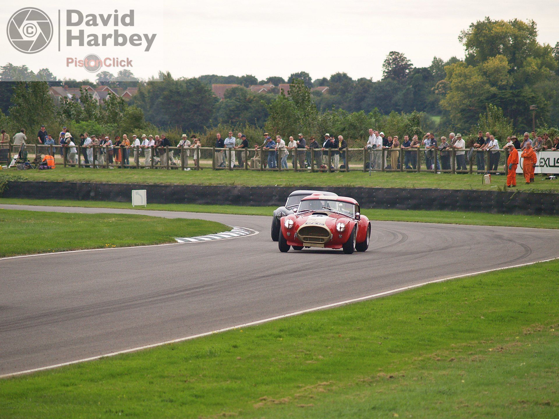 Ac cobra The Goodwood Revival
