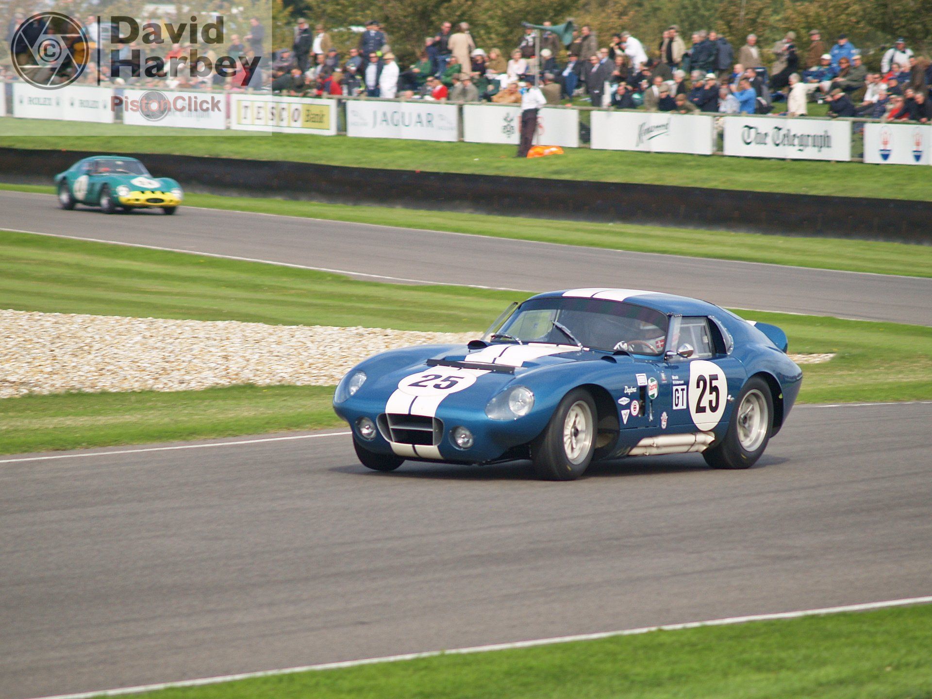 Cobra Daytona The Goodwood Revival