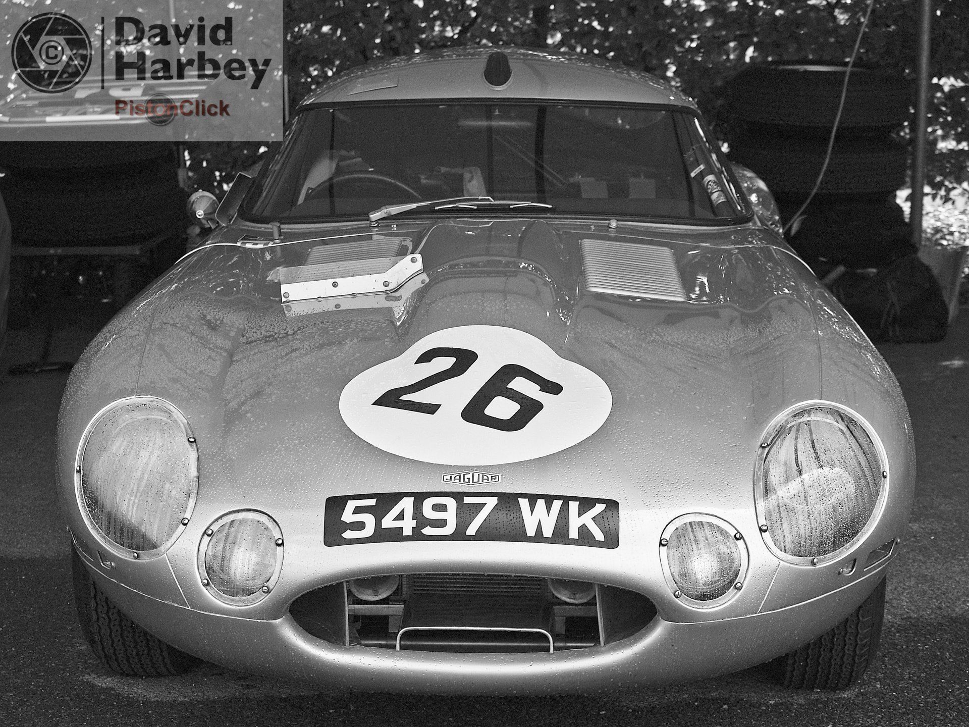 E type jaguar The Goodwood Revival