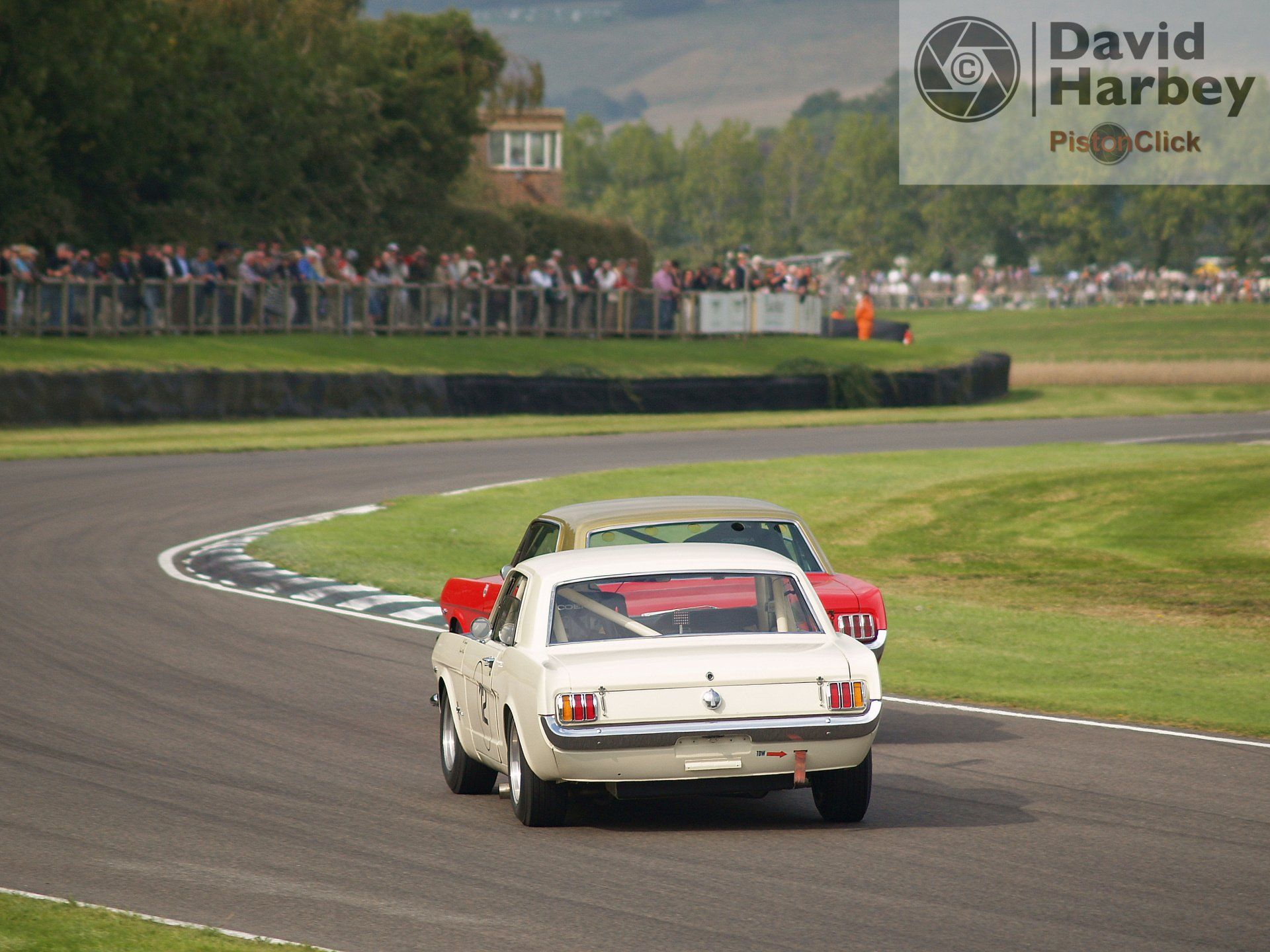 The Goodwood Revival