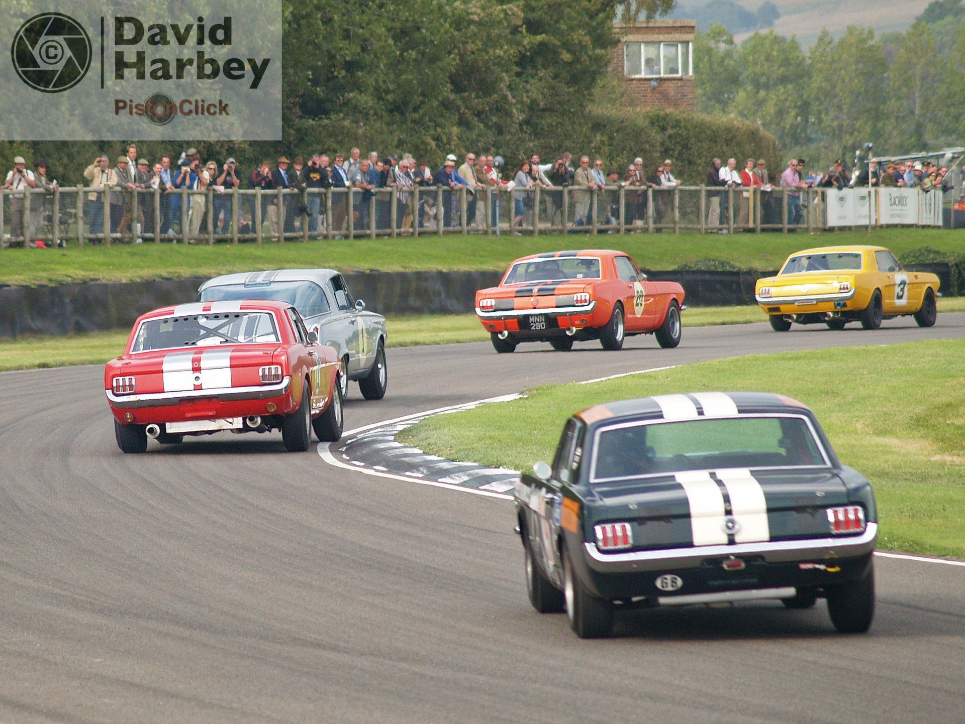 The Goodwood Revival