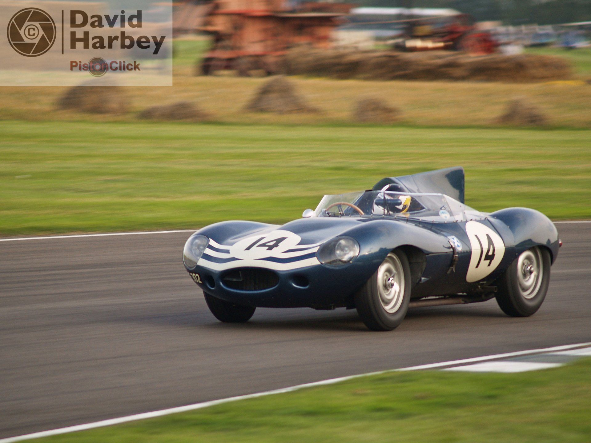 D type jaguar The Goodwood Revival