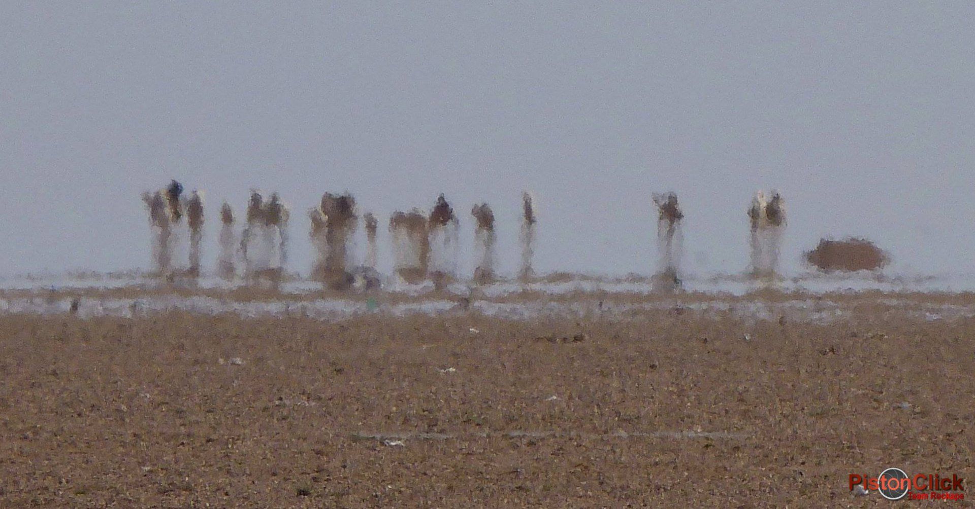 The Dakar Rally Raid