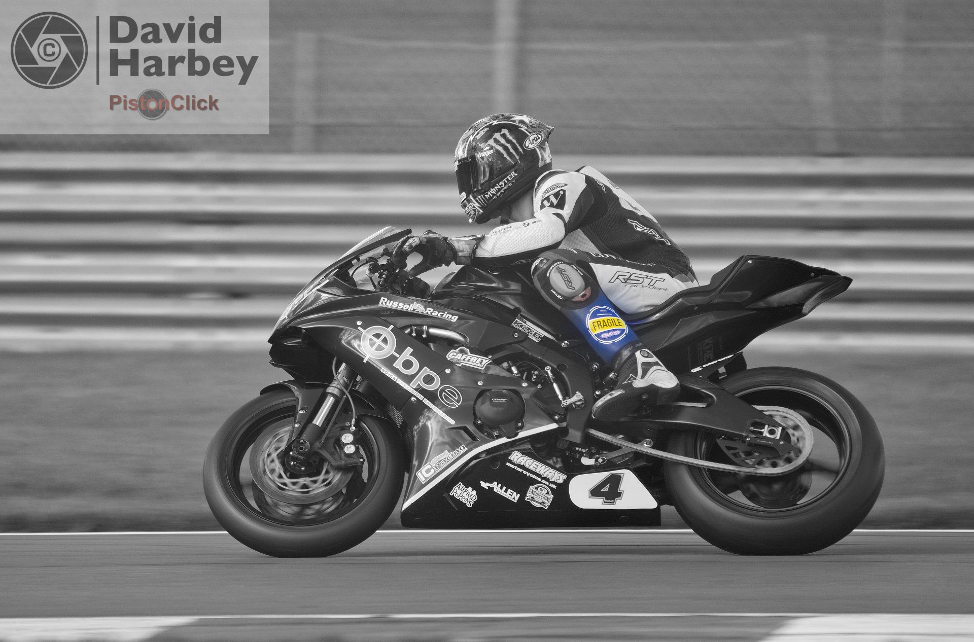 Nikon D3400 and Sigma 100-400mm zoom lens