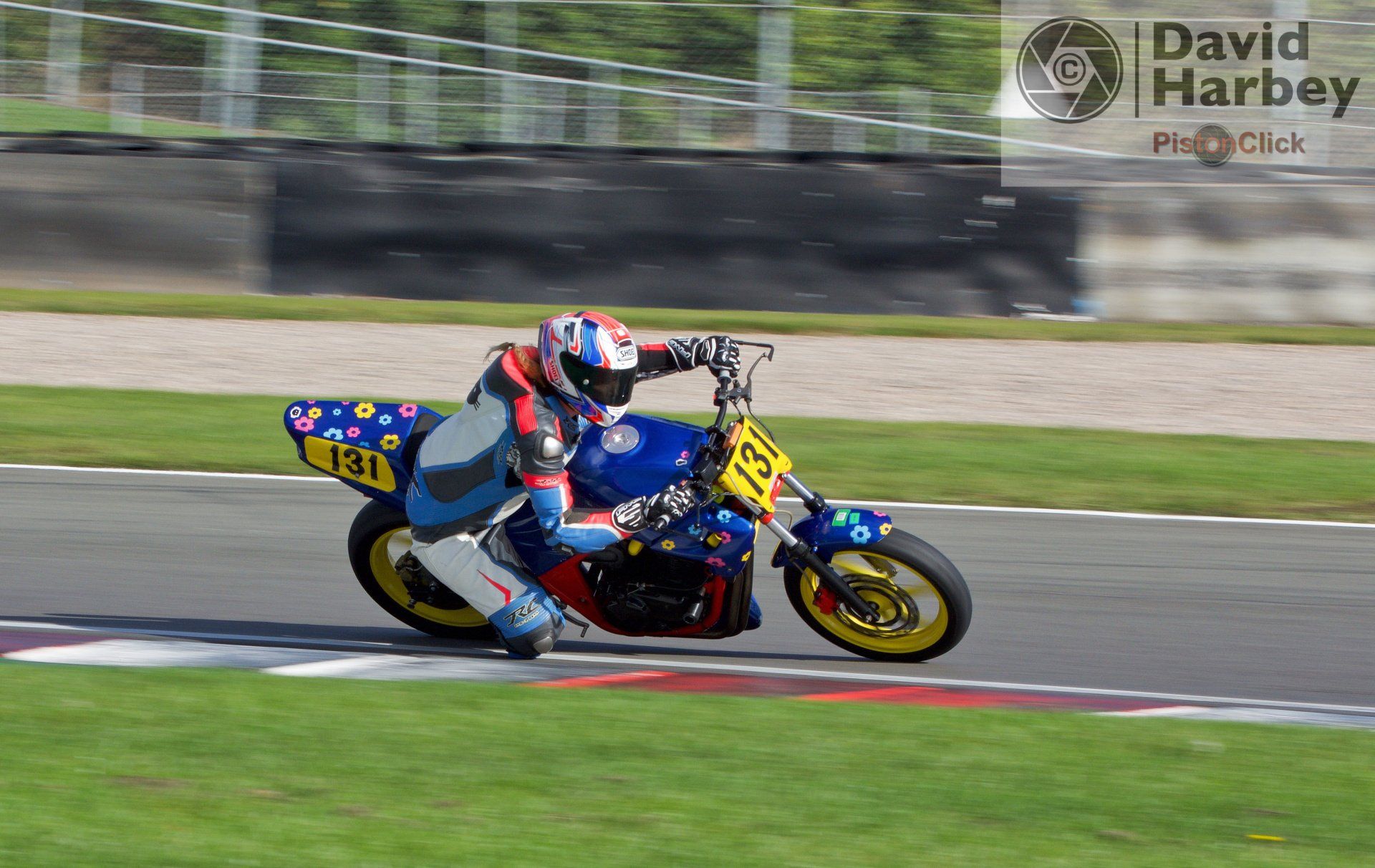 Nikon D3400 and Sigma 100-400mm zoom lens