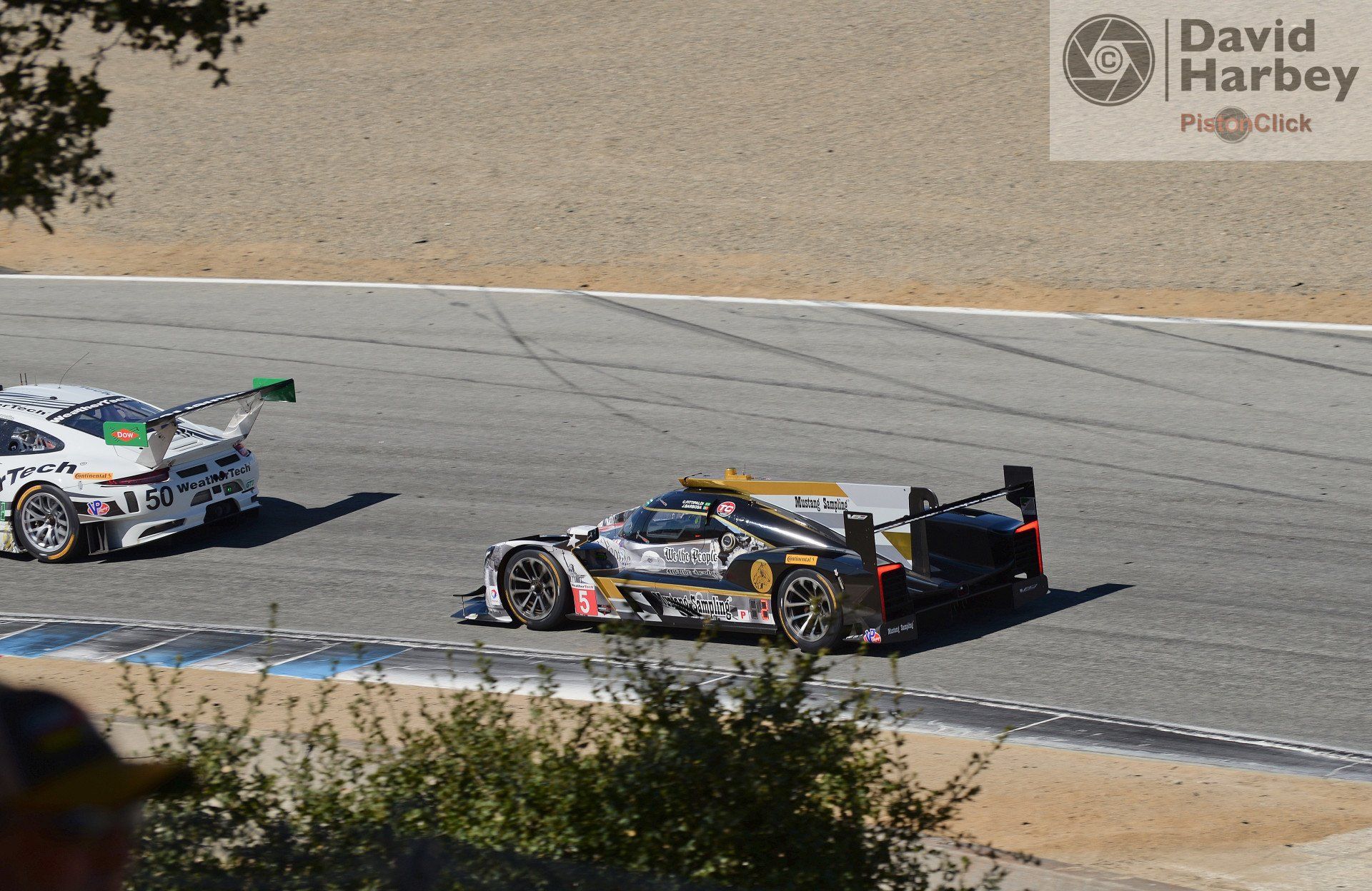 IMSA Championship Laguna Seca
