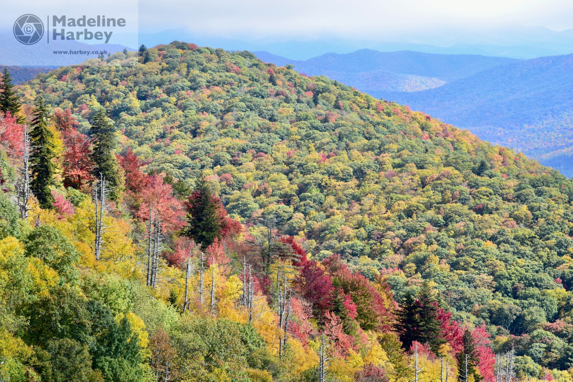 Blue Ridge Parkway fall