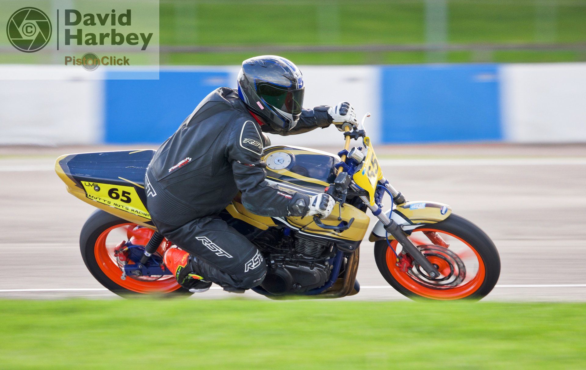 Nikon D3400 and Sigma 100-400mm zoom lens