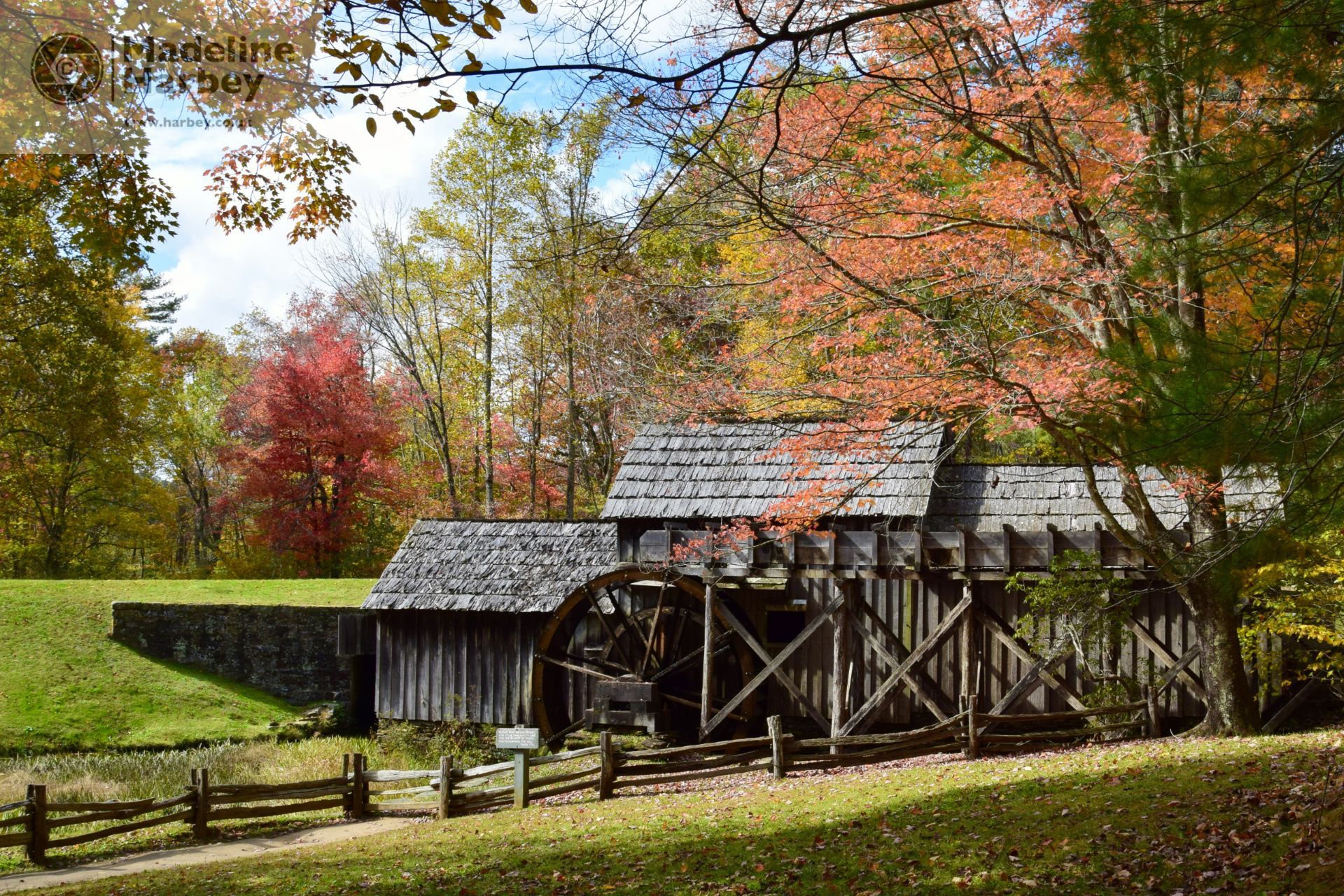 Blue Ridge Parkway fall