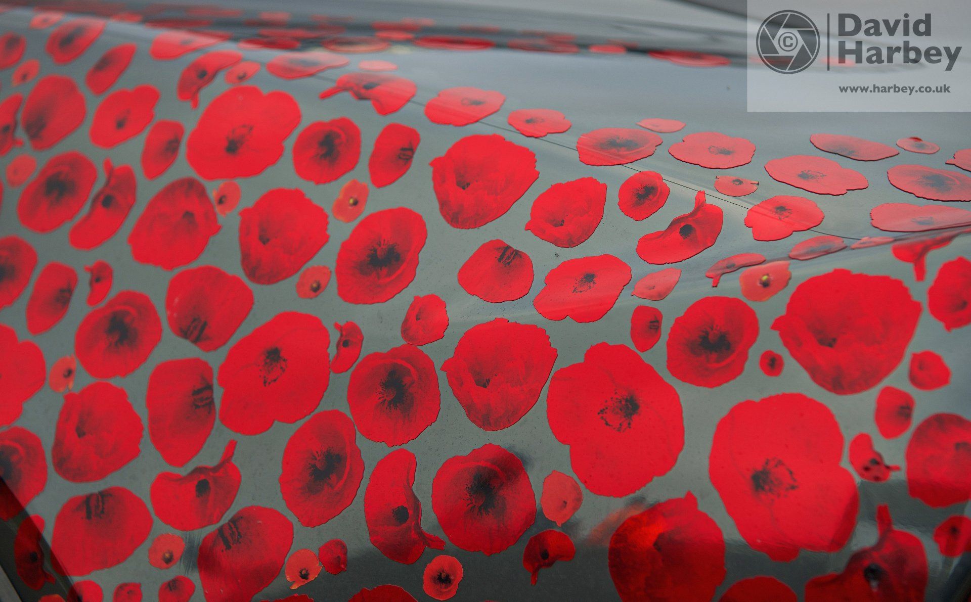 Race of Remembrance