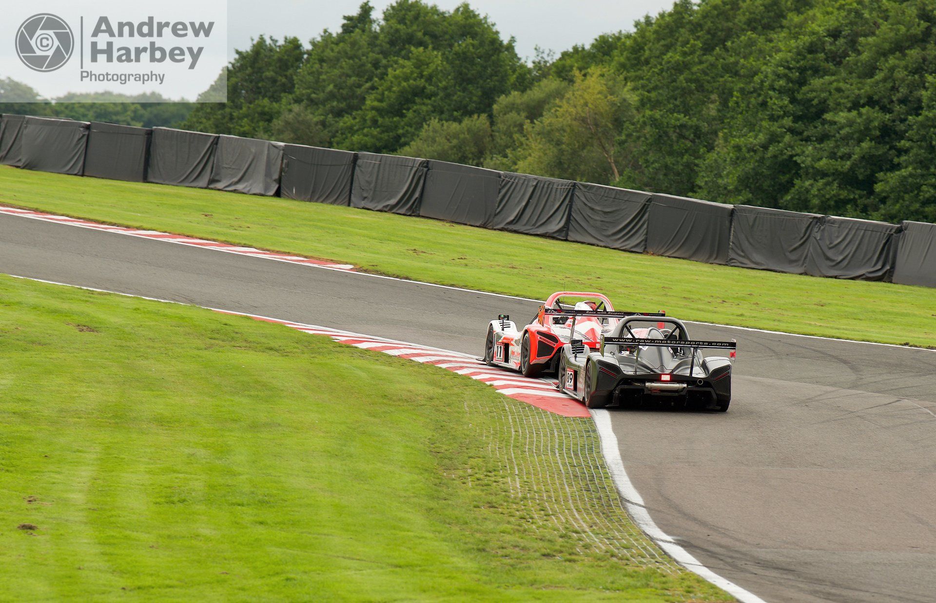 Motor Sport Vision Racing Radicals