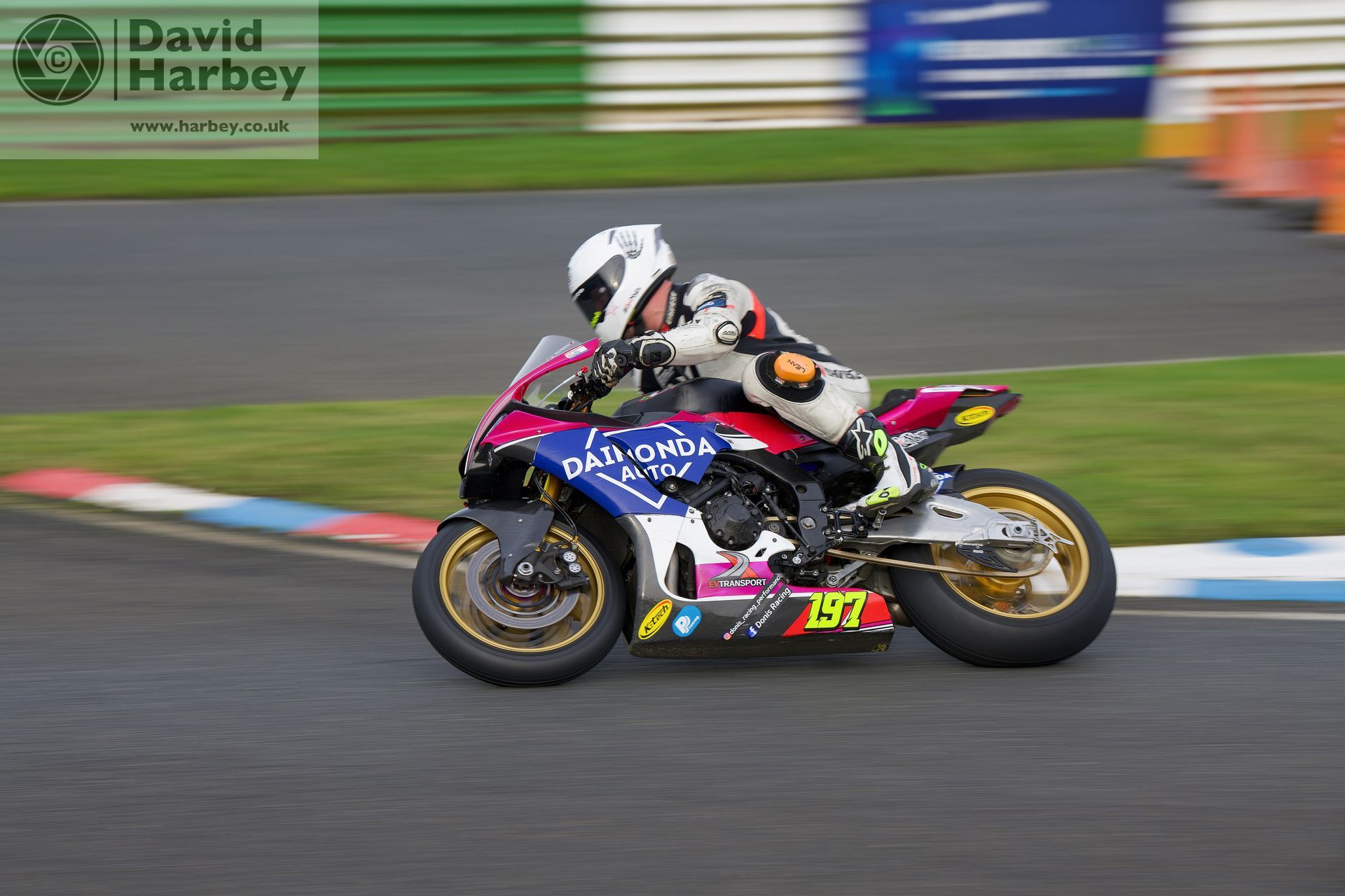Motorbikes at the Plum Pudding races 2023