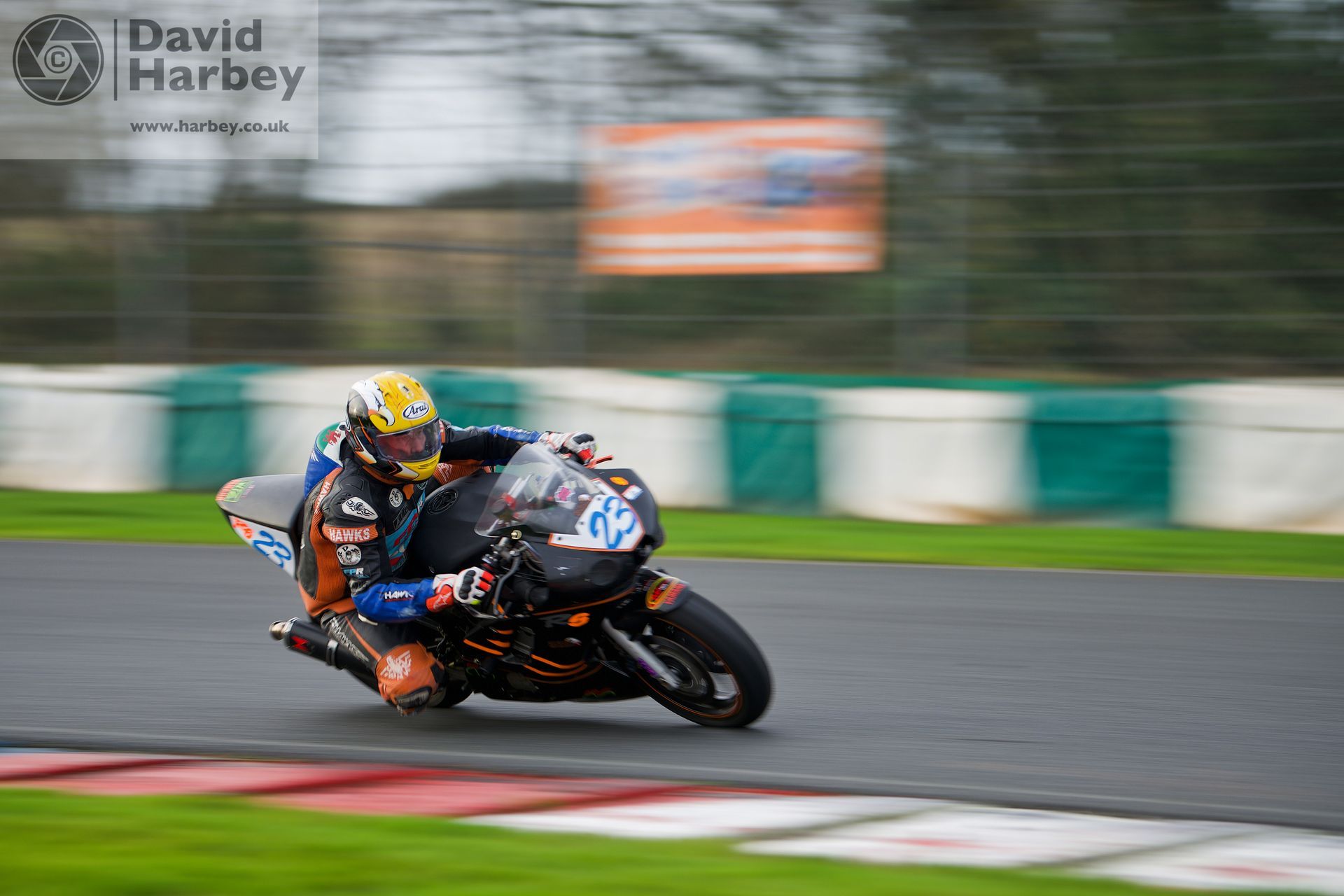 Motorbikes at the Plum Pudding races 2023