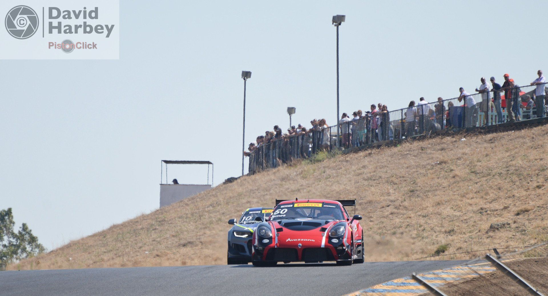 GT3 Porsches Sonoma Raceway