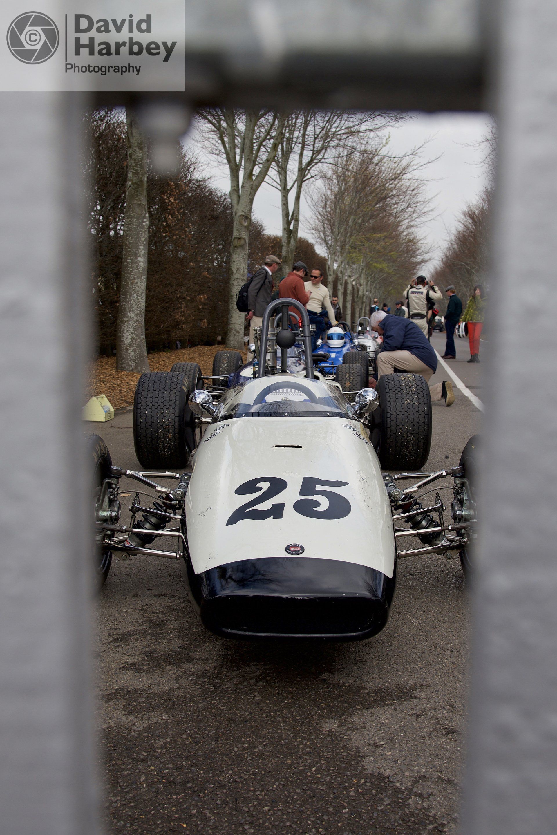 Chequered Flag Brabham