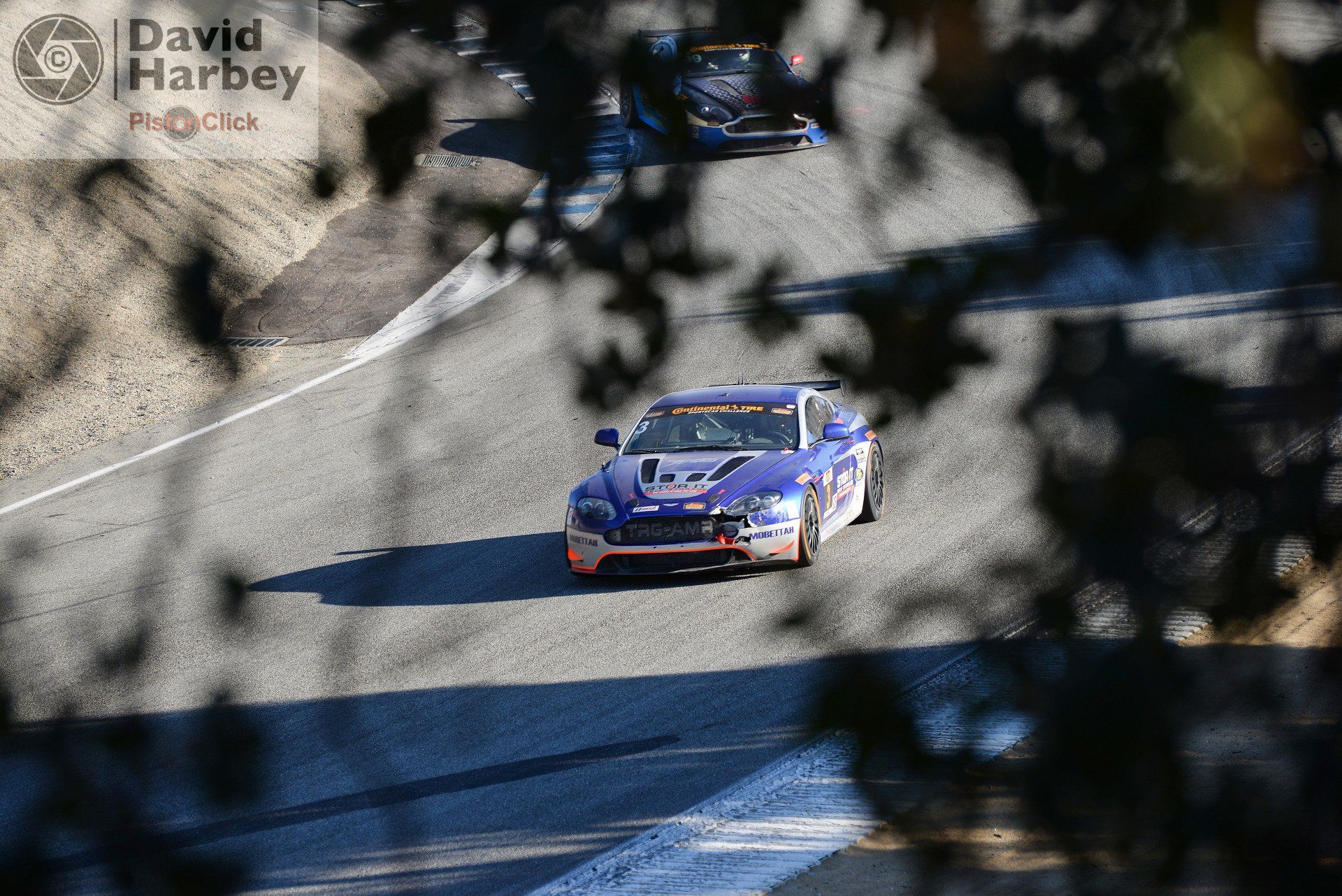 IMSA Championship Laguna Seca