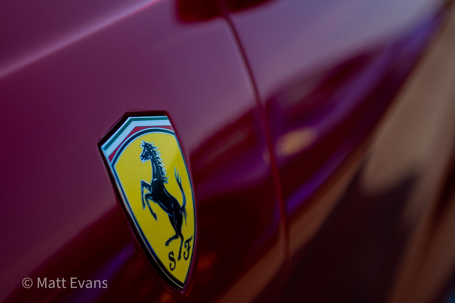 Matt Evans Photography