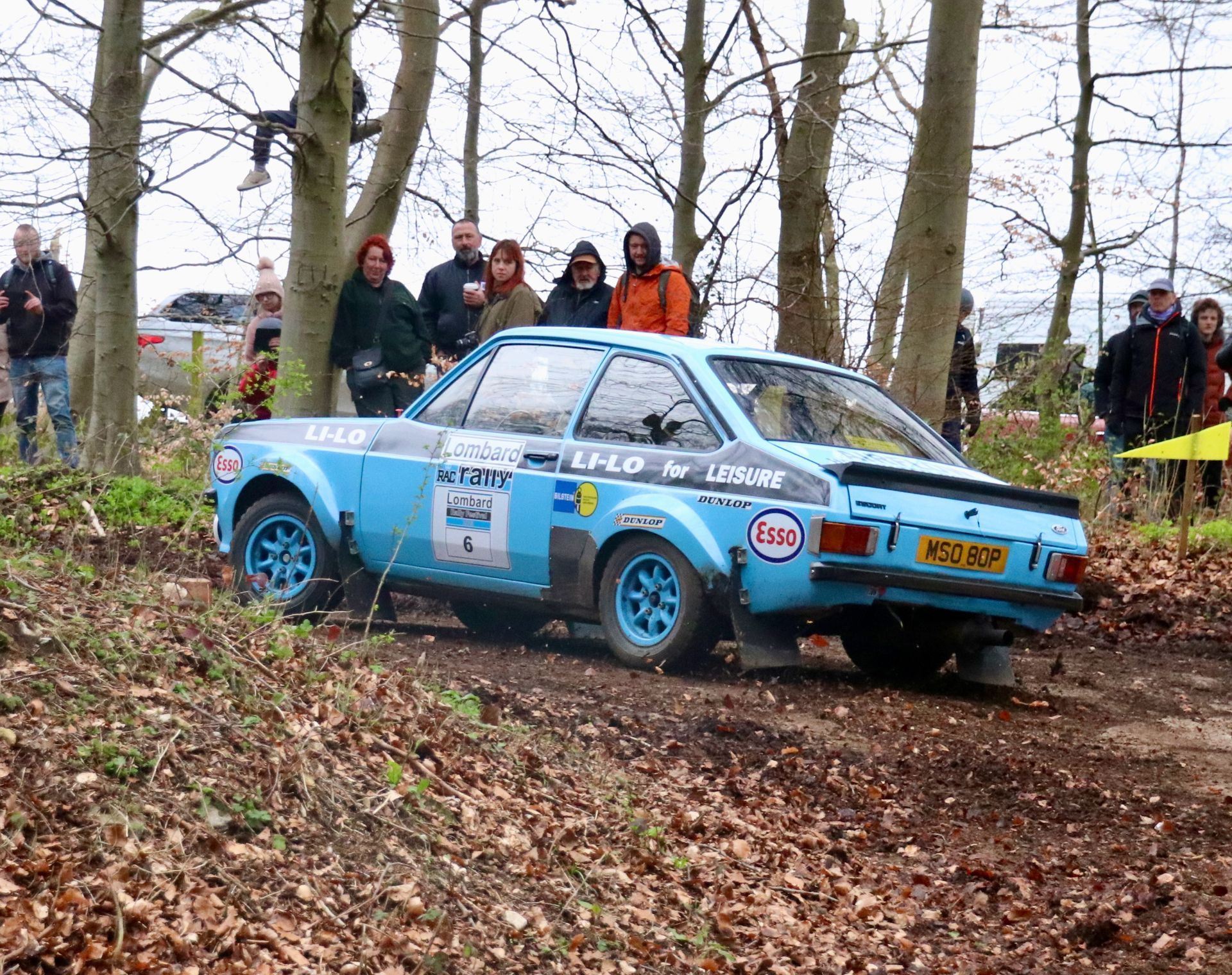 Lombard Rally Festival Duncombe Park