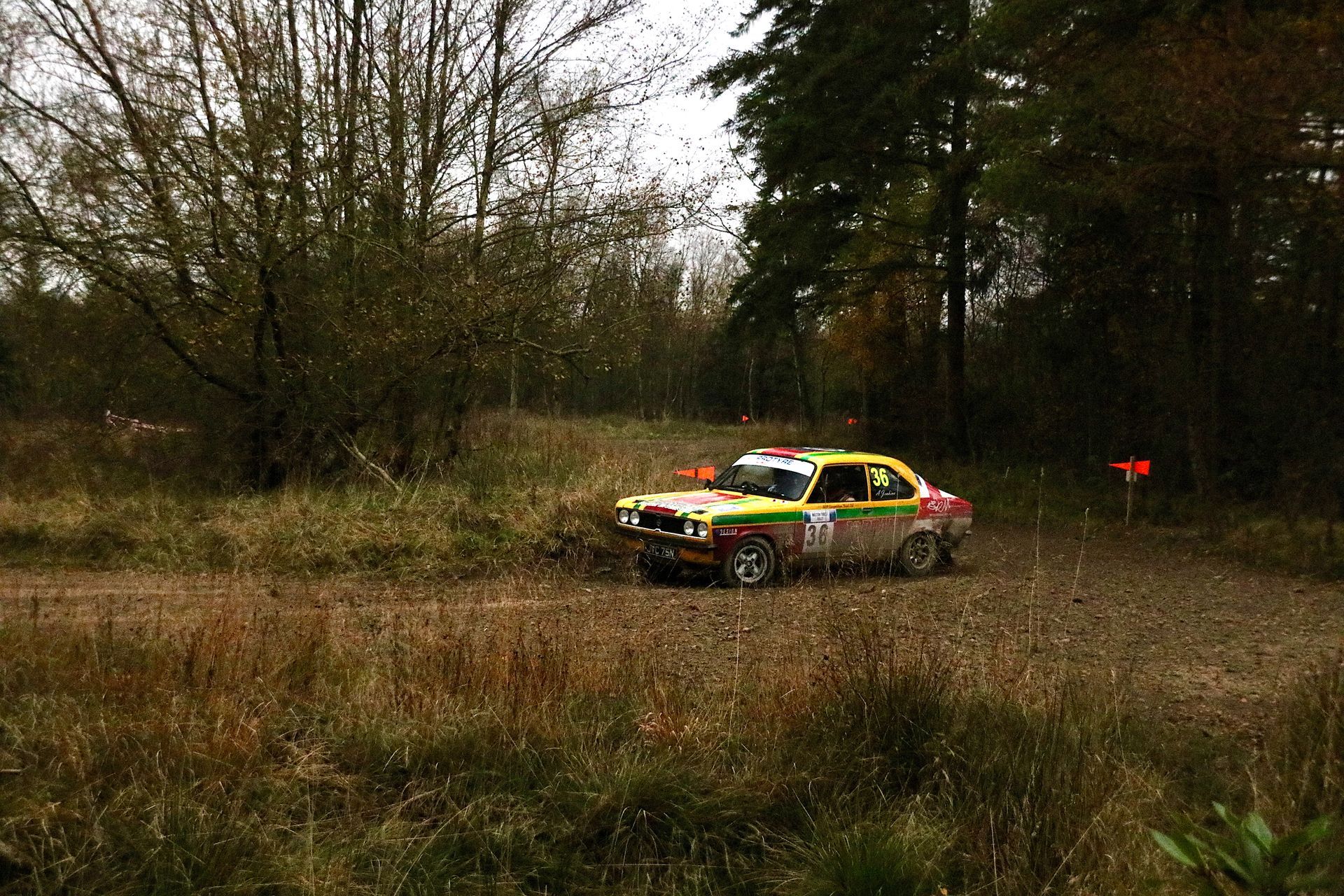 Malton Forest Rally Cropton Forest stage