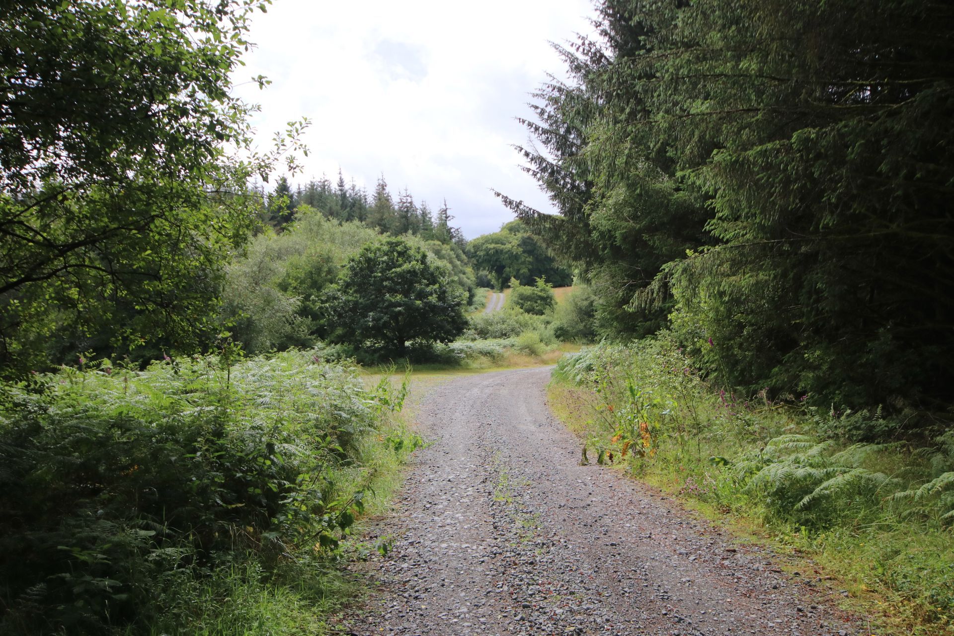 Motorsport UK Scottish Rally Championship Round 4
