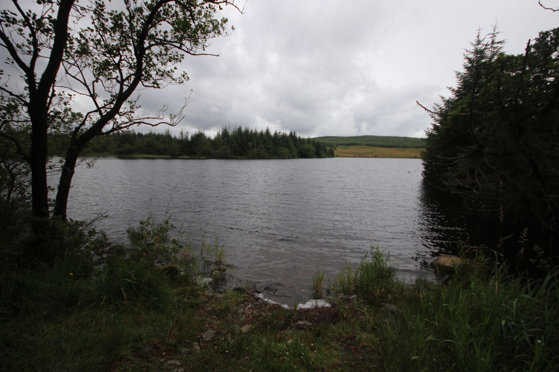 Motorsport UK Scottish Rally Championship Round 4