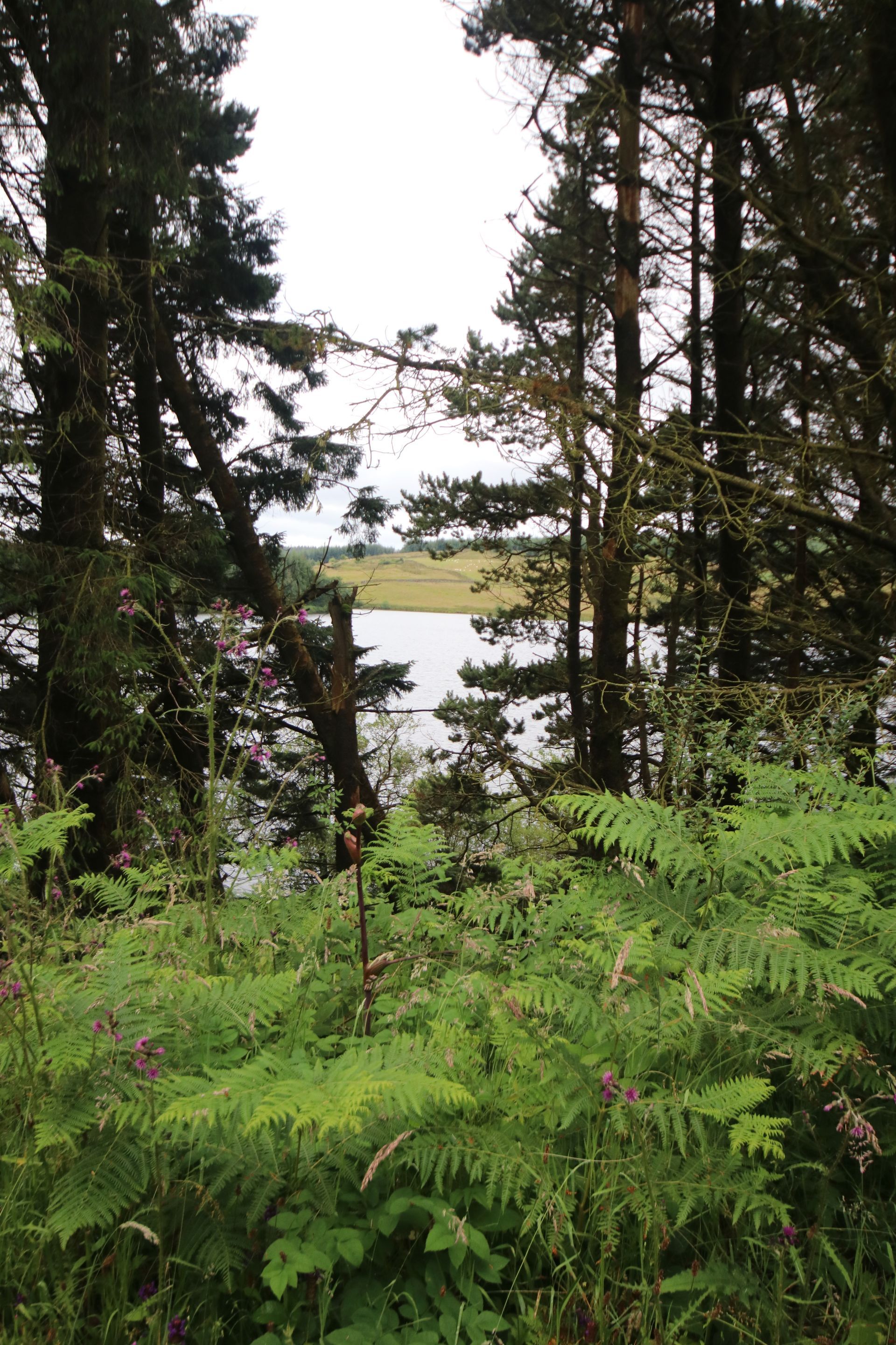Motorsport UK Scottish Rally Championship Round 4