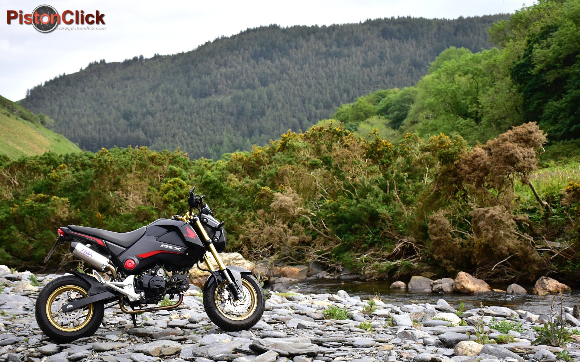 Honda MSX 125 Grom