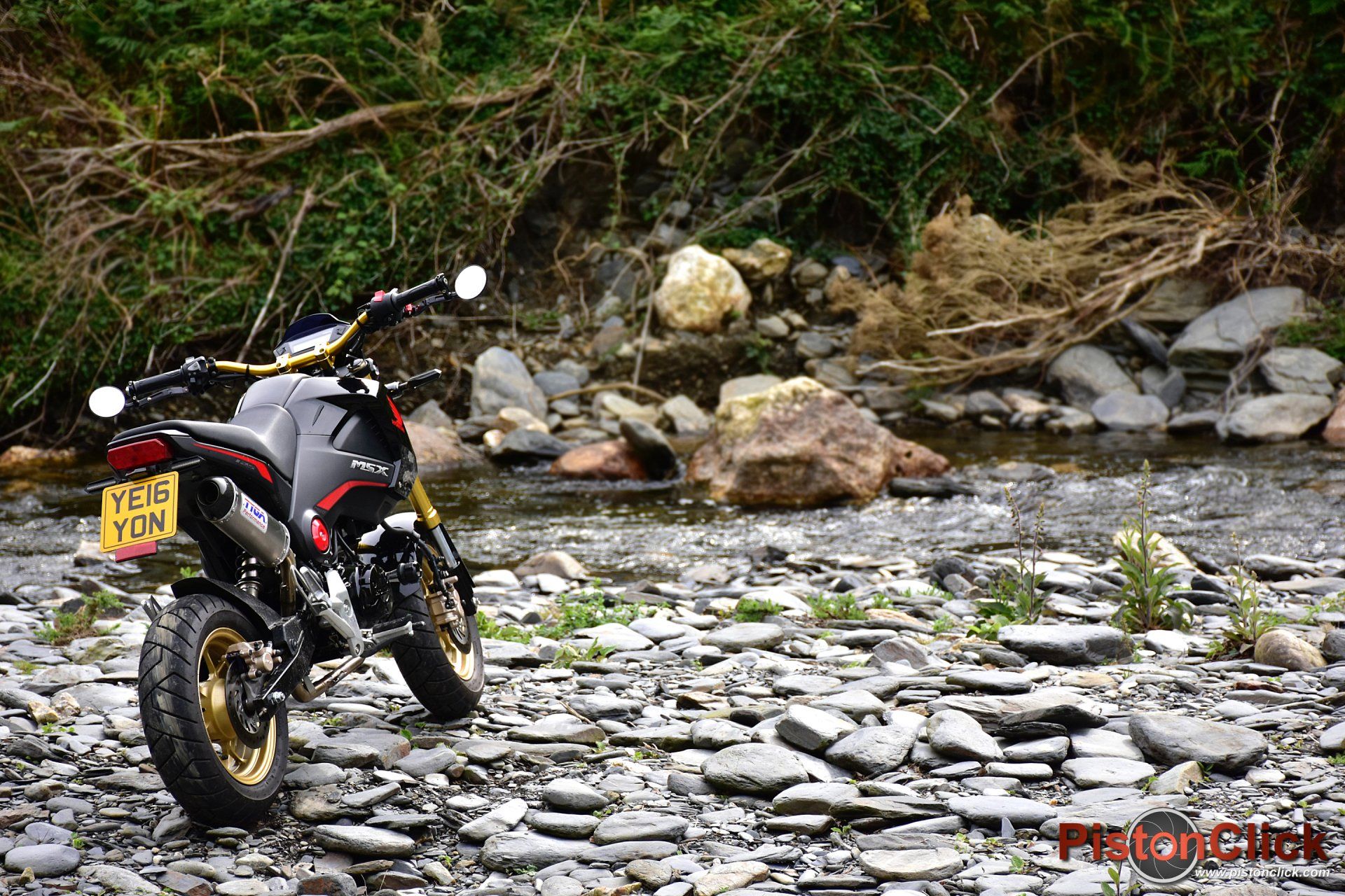 Honda MSX 125 Grom