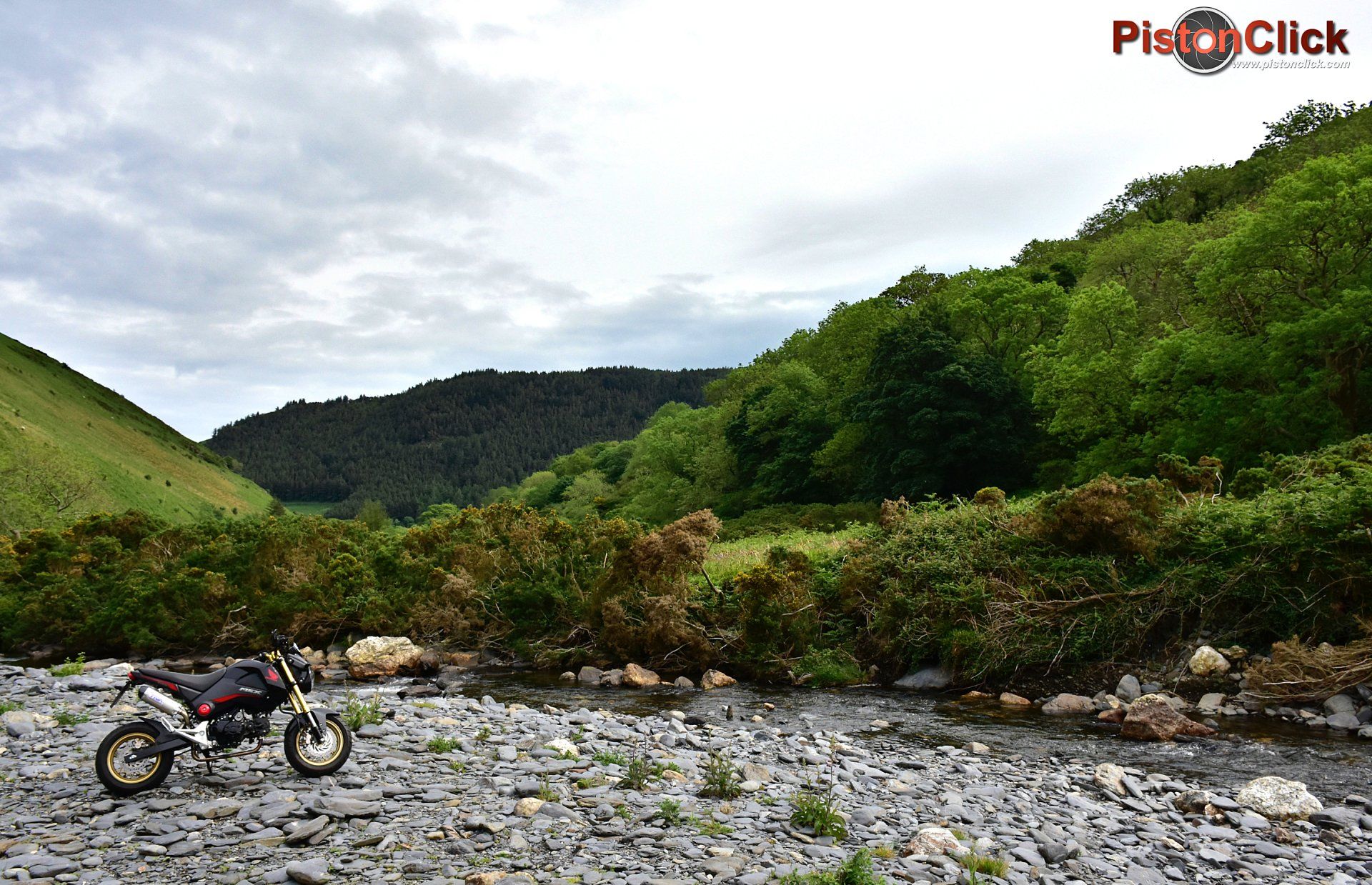 Honda MSX 125 Grom