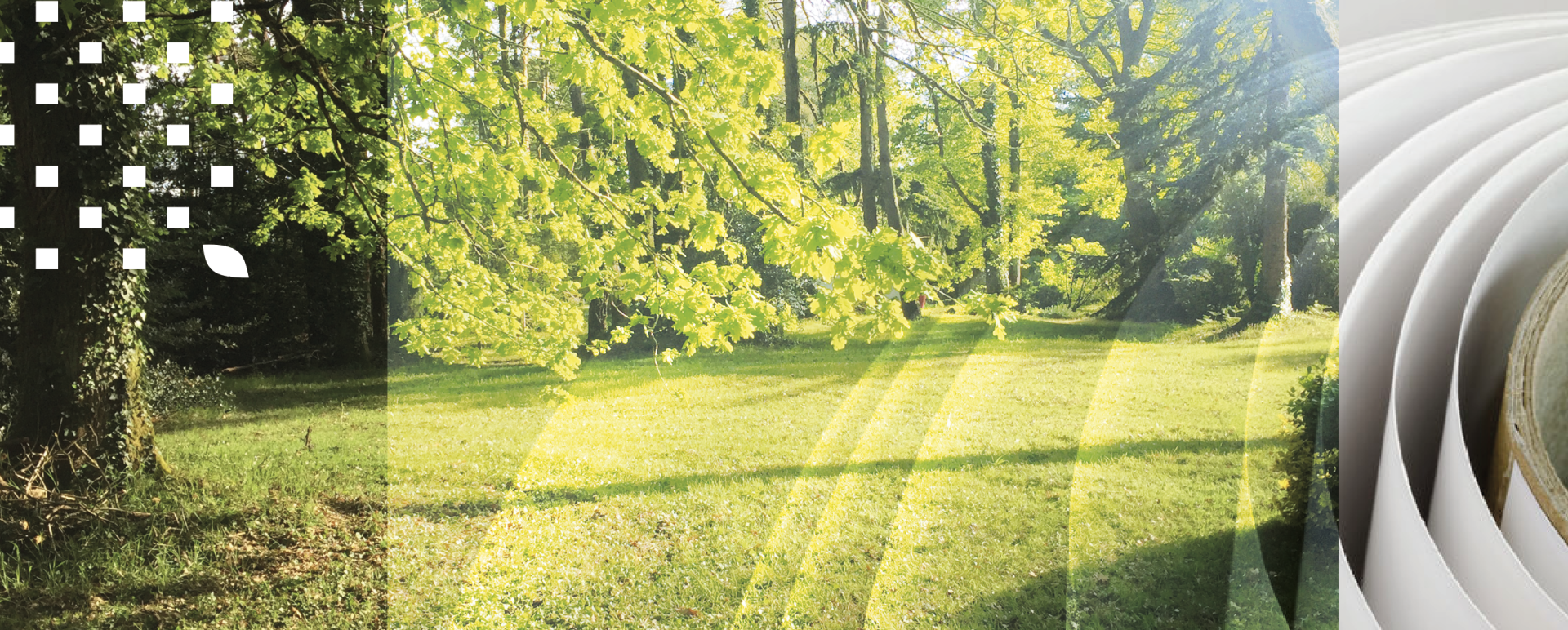 L'environnement et l'entreprise