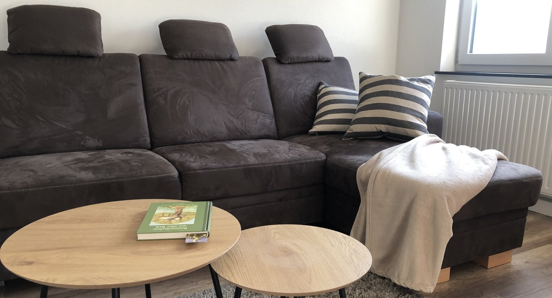 Schlafsofa im Wohnzimmer