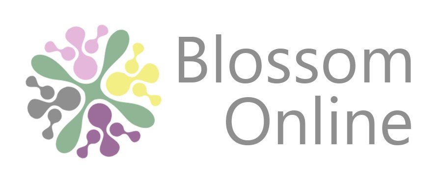 Blossom Online logo for affordable websites