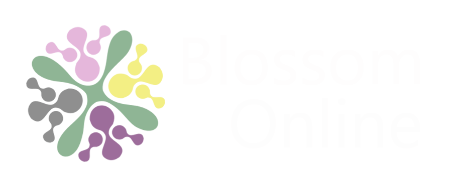 Blossom Online logo for affordable websites Yorkshire