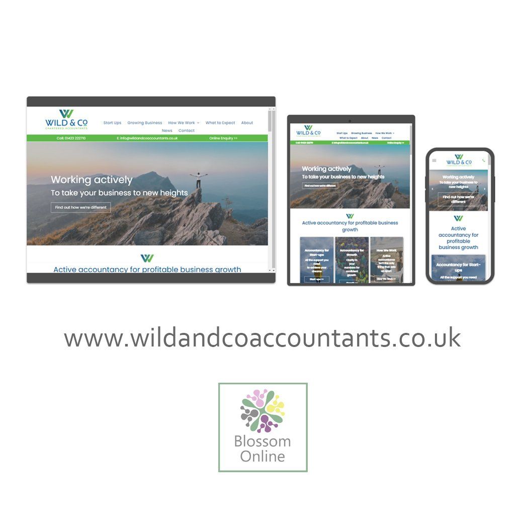 Images of the soccer and study UK website design