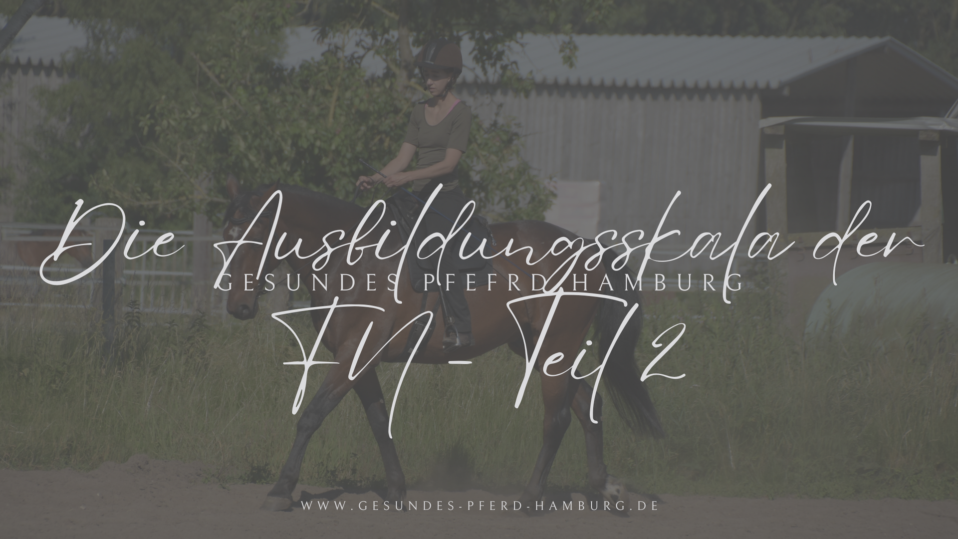 DIE AUSBILDUNGSSKALA DER FN - KRITISCHE AUßEINANDERSETZUNG - TEIL 2