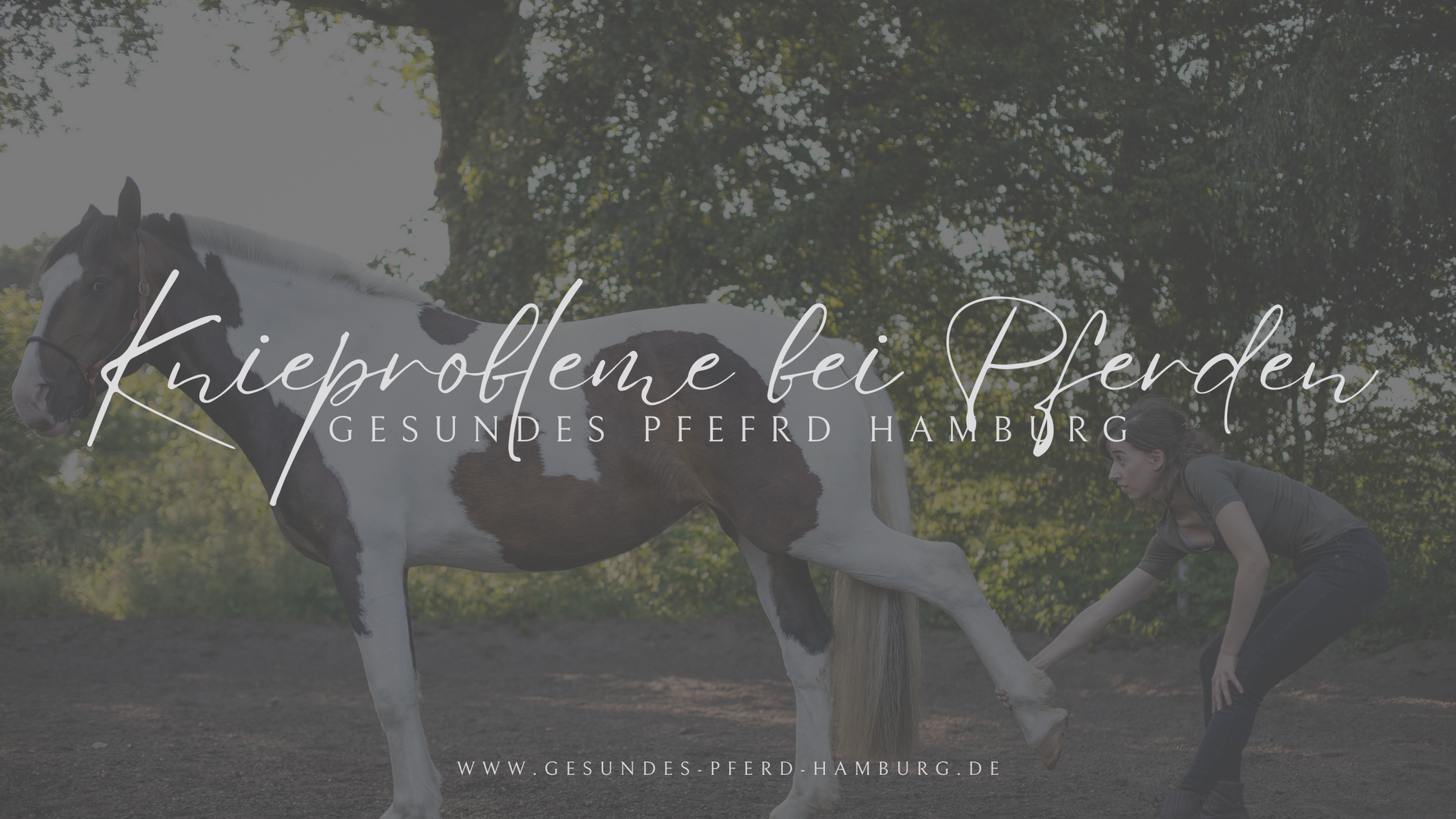 www.gesundes-pferd-hamburg.de