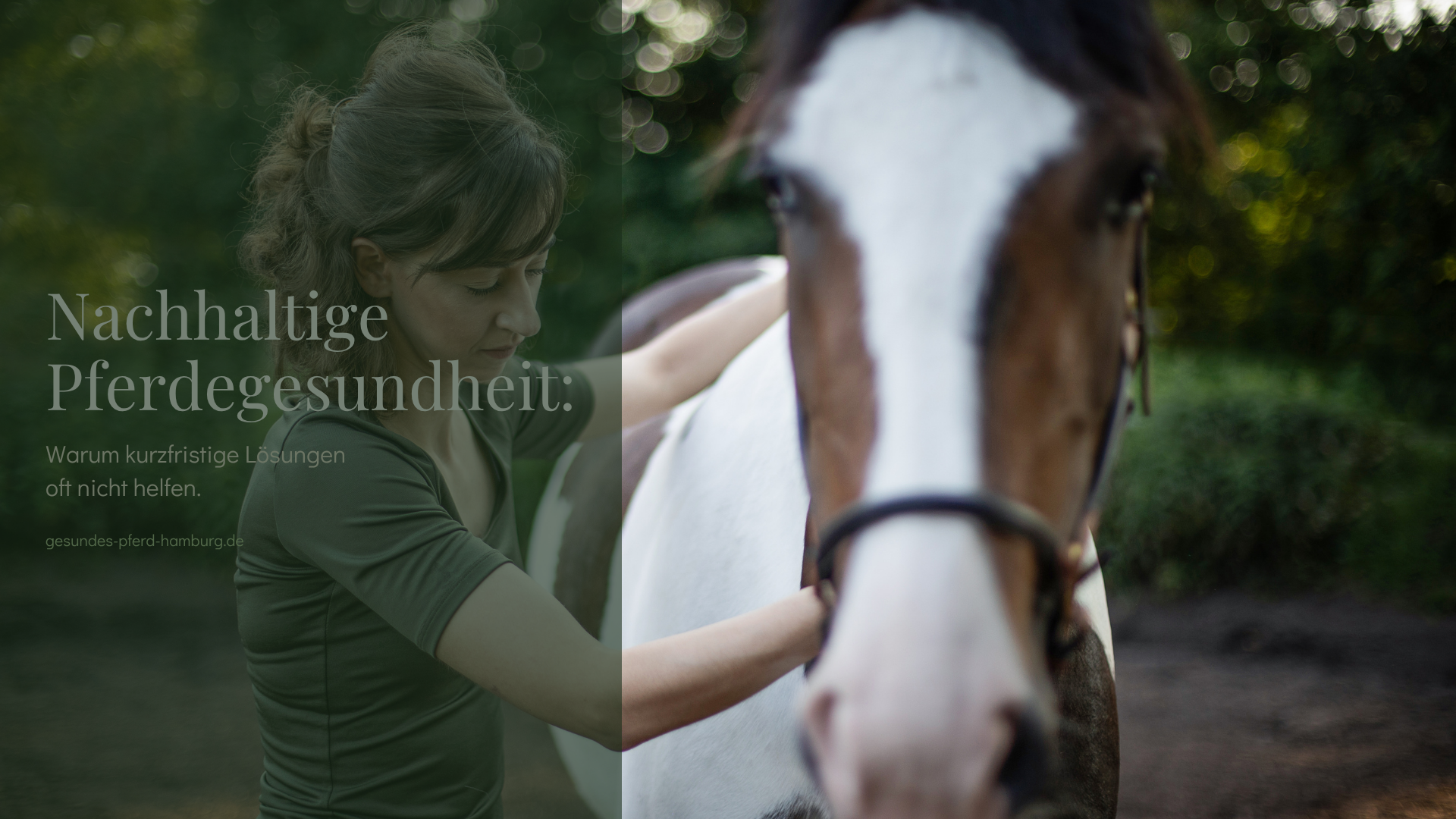Pferd in Behandlung bei Gesundes Pferd Hamburg zur Analyse von Bewegungs- und Gesundheitsproblemen.