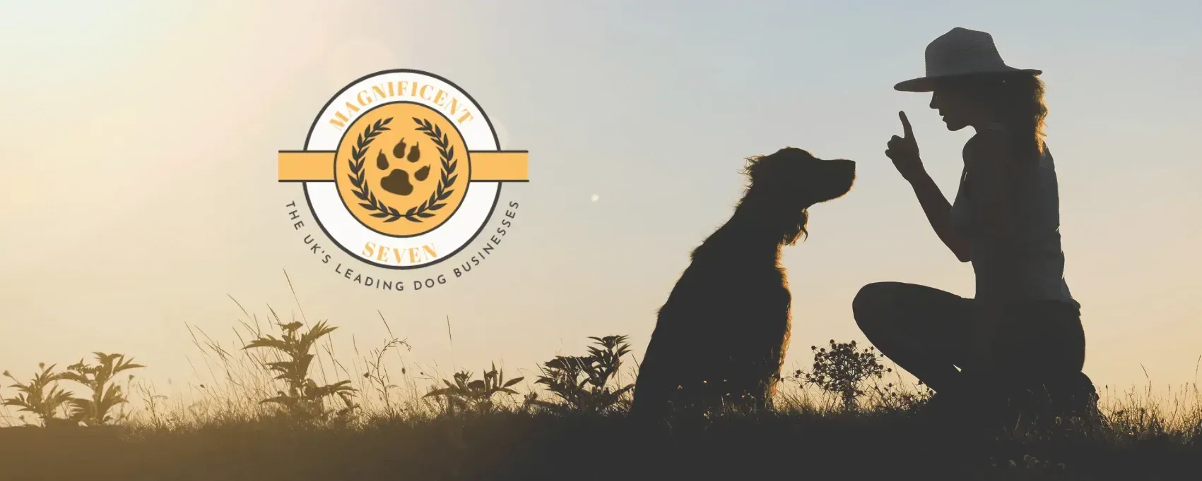 Dog trainers in UK