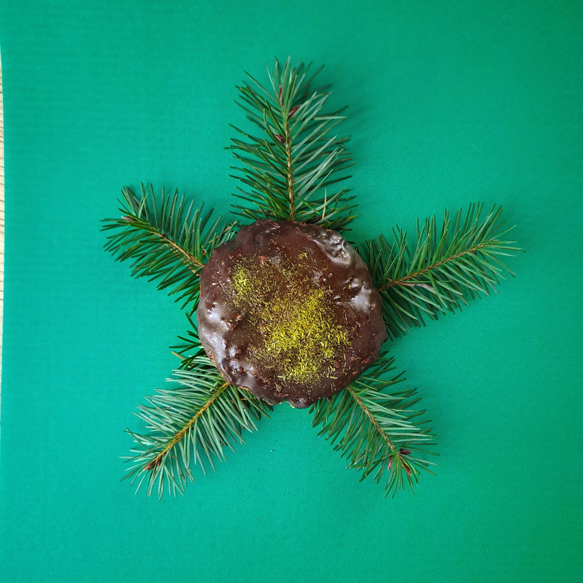 Wald-Lebkuchen mit Douglasiennadelpulver