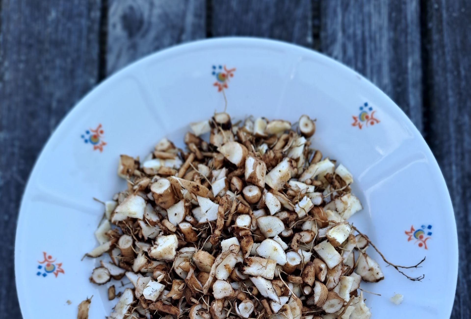 Löwenzahnwurzel - jetzt Vorräte anlegen!