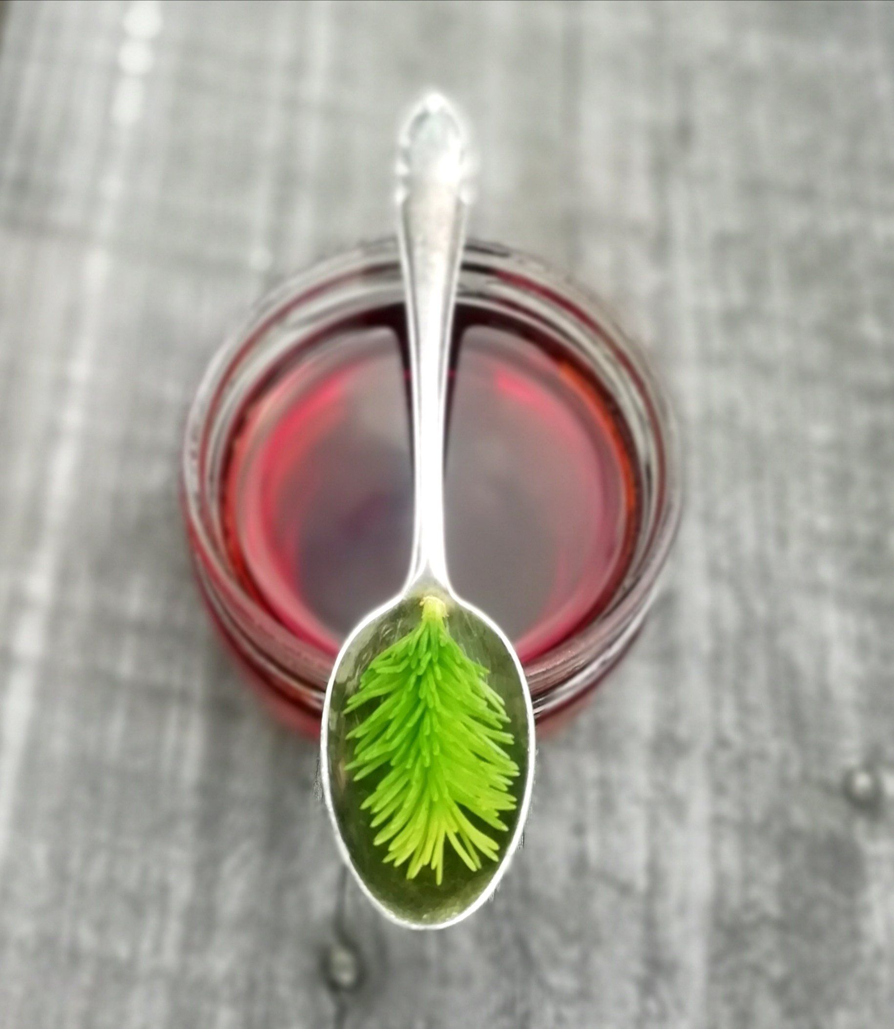 Fichtenspitzensirup Fichtenspitzensirup