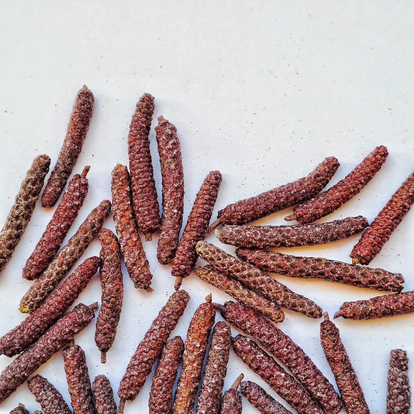 Erlenpfeffer - Herbe Waldnote trifft auf klassische Schärfe