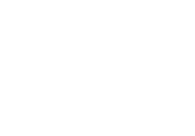 Logo WiesenWuid