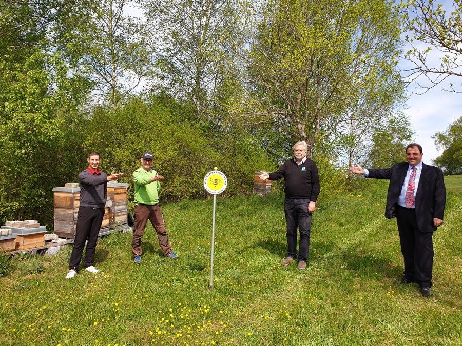 Bild: v. li. n. re. Prof. Dr. Martin Elsäßer, Fürstlicher Golfclub Oberschwaben (FCGO) Max Föhl, Golf-Pro & Abteilungsleiter Golf, Fürstliches Golf-Resort Bad Waldsee Michael Schinnenburg, Head Greenkeeper, Fürstliches Golf-Resort Bad Waldsee Sascha M. Binoth, Geschäftsführer, Fürstliches Golf-Resort Bad Waldsee Natur-Resort Bad Waldsee, Artenvielfalt auf dem Golfplatz, Bienen, Bienenvölker, Rote Liste Pflanzen, wilde Orchideen, Smaragdeidechsen, Kreuzottern, Natur-Lehrpfad, Rund-Wanderwege, Kaffee, Restaurant, Vinothek, erlesene Weine, Bar, selbstgebackene Kuchen, Snacks, Mittagstisch, Sonnenterrasse, Gin - Greenkeeper's Cut, Bier vom Fass, kleine Gerichte, Burger, vegetarisch, vegan, Laktose frei, Gluten frei, Café-Restaurant Ausblick T-19, Restaurant im Hofgut