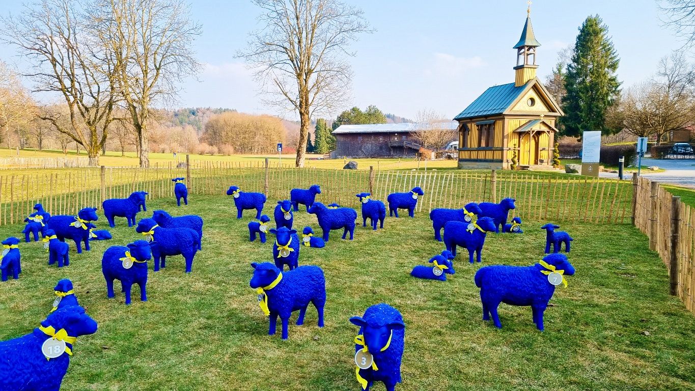 Blauschafe, Friedensschafe: Aktion in Bad Waldsee im Fürstlichen Golf- & Natur-Resort findet viel Sympathie und großen Anklang.