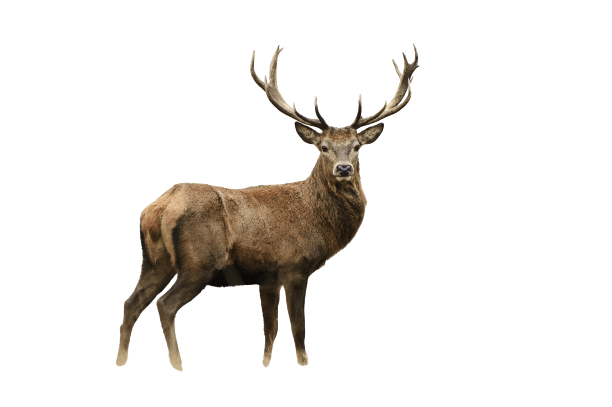 Natur-Resort Bad Waldsee, Artenvielfalt auf dem Golfplatz, Bienen, Bienenvölker, Rote Liste Pflanzen, wilde Orchideen, Smaragdeidechsen, Kreuzottern, Natur-Lehrpfad, Rund-Wanderwege, Kaffee, Restaurant, Vinothek, erlesene Weine, Bar, selbstgebackene Kuchen, Snacks, Mittagstisch, Sonnenterrasse, Gin - Greenkeeper's Cut, Bier vom Fass, kleine Gerichte, Burger, vegetarisch, vegan, Laktose frei, Gluten frei, Café-Restaurant Ausblick T-19, Restaurant im Hofgut