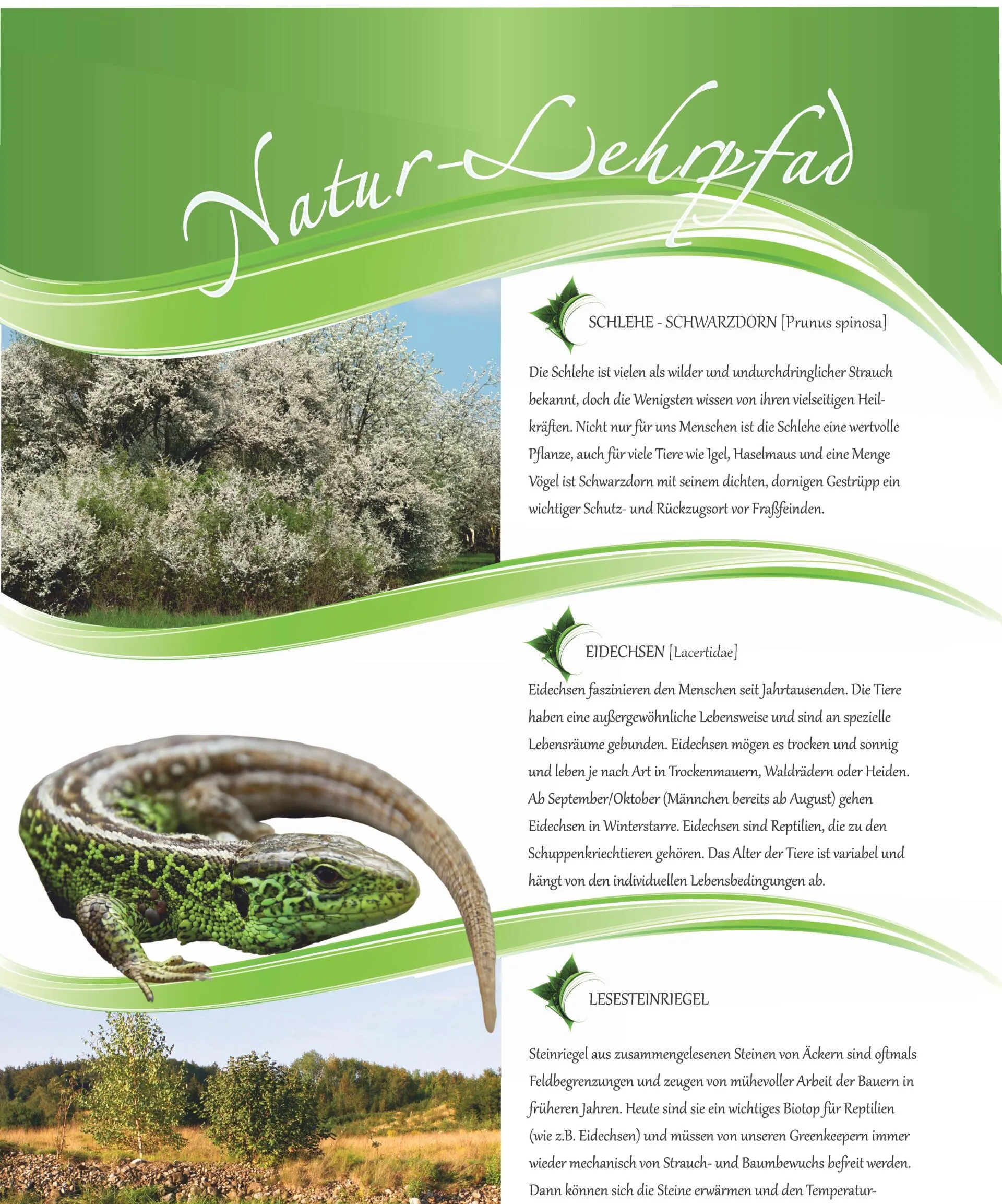 Natur-Resort Bad Waldsee, Artenvielfalt auf dem Golfplatz, Bienen, Bienenvölker, Rote Liste Pflanzen, wilde Orchideen, Smaragdeidechsen, Kreuzottern, Natur-Lehrpfad, Rund-Wanderwege, Kaffee, Restaurant, Vinothek, erlesene Weine, Bar, selbstgebackene Kuchen, Snacks, Mittagstisch, Sonnenterrasse, Gin - Greenkeeper's Cut, Bier vom Fass, kleine Gerichte, Burger, vegetarisch, vegan, Laktose frei, Gluten frei, Café-Restaurant Ausblick T-19, Restaurant im Hofgut