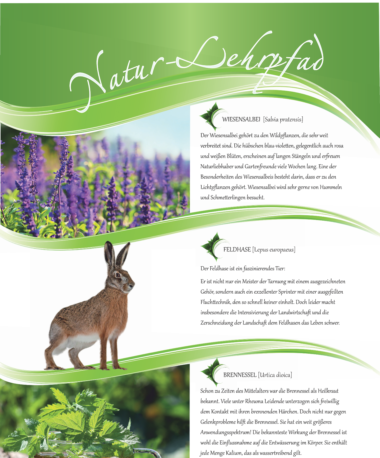 Natur-Resort Bad Waldsee, Artenvielfalt auf dem Golfplatz, Bienen, Bienenvölker, Rote Liste Pflanzen, wilde Orchideen, Smaragdeidechsen, Kreuzottern, Natur-Lehrpfad, Rund-Wanderwege, Kaffee, Restaurant, Vinothek, erlesene Weine, Bar, selbstgebackene Kuchen, Snacks, Mittagstisch, Sonnenterrasse, Gin - Greenkeeper's Cut, Bier vom Fass, kleine Gerichte, Burger, vegetarisch, vegan, Laktose frei, Gluten frei, Café-Restaurant Ausblick T-19, Restaurant im Hofgut