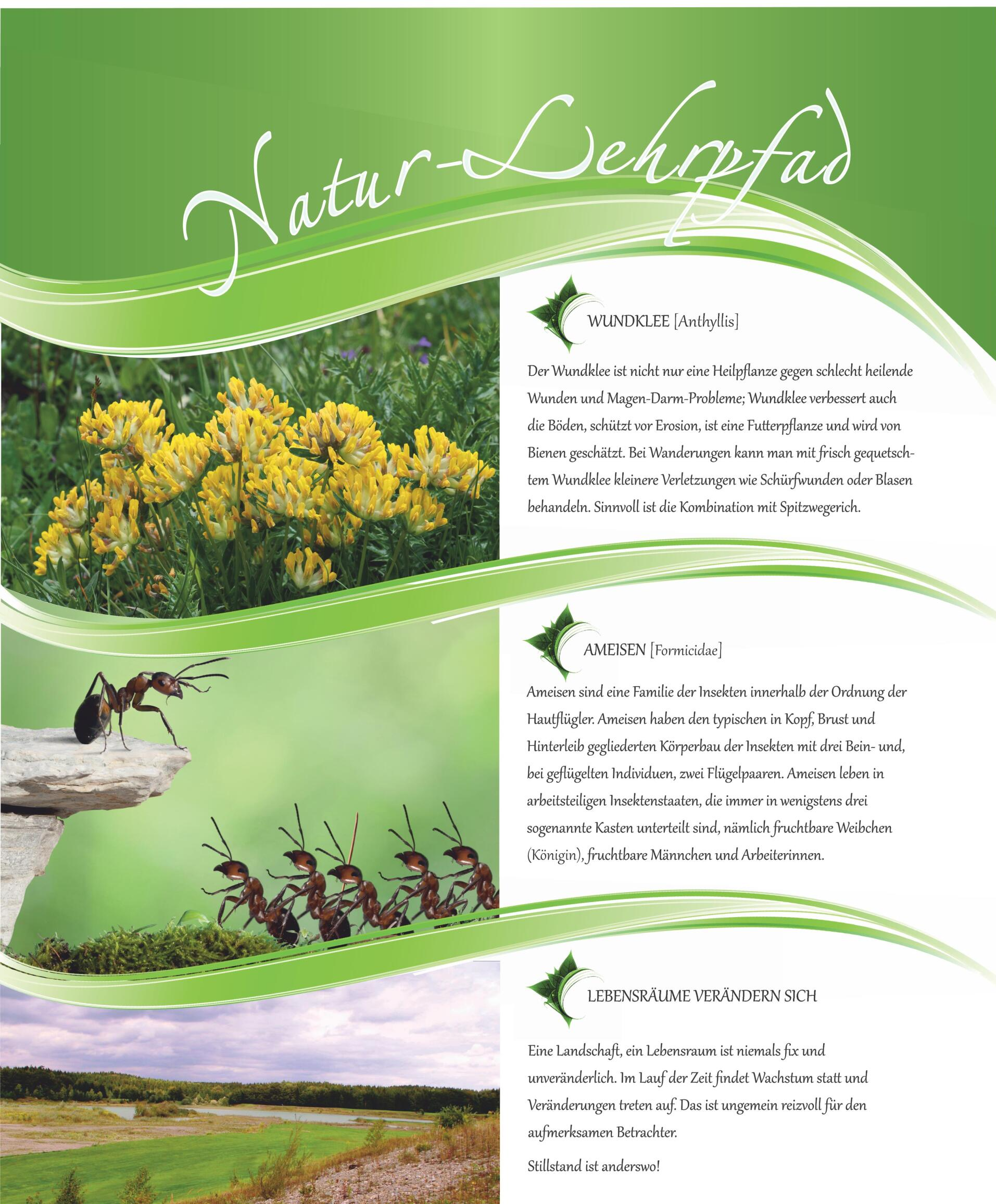 Natur-Resort Bad Waldsee, Artenvielfalt auf dem Golfplatz, Bienen, Bienenvölker, Rote Liste Pflanzen, wilde Orchideen, Smaragdeidechsen, Kreuzottern, Natur-Lehrpfad, Rund-Wanderwege, Kaffee, Restaurant, Vinothek, erlesene Weine, Bar, selbstgebackene Kuchen, Snacks, Mittagstisch, Sonnenterrasse, Gin - Greenkeeper's Cut, Bier vom Fass, kleine Gerichte, Burger, vegetarisch, vegan, Laktose frei, Gluten frei, Café-Restaurant Ausblick T-19, Restaurant im Hofgut