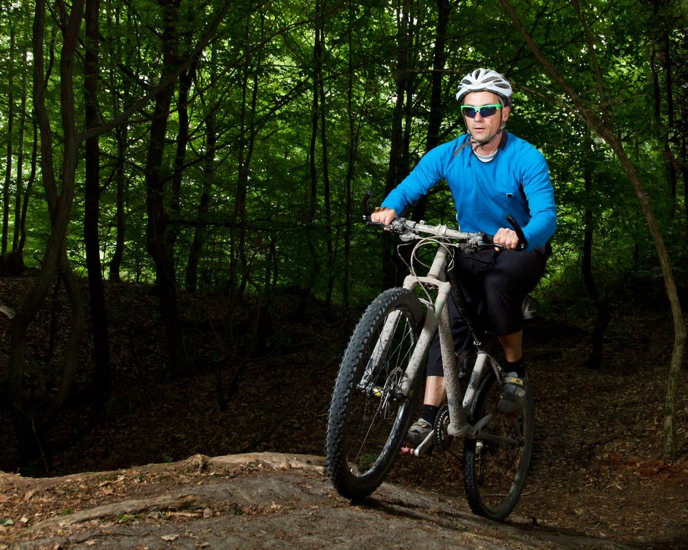 Natur-Resort Bad Waldsee, Artenvielfalt auf dem Golfplatz, Bienen, Bienenvölker, Rote Liste Pflanzen, wilde Orchideen, Smaragdeidechsen, Kreuzottern, Natur-Lehrpfad, Rund-Wanderwege, Kaffee, Restaurant, Vinothek, erlesene Weine, Bar, selbstgebackene Kuchen, Snacks, Mittagstisch, Sonnenterrasse, Gin - Greenkeeper's Cut, Bier vom Fass, kleine Gerichte, Burger, vegetarisch, vegan, Laktose frei, Gluten frei, Café-Restaurant Ausblick T-19, Restaurant im Hofgut